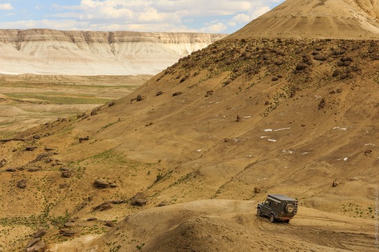 One day on Boszhira Tract, Kazakhstan, photo 9