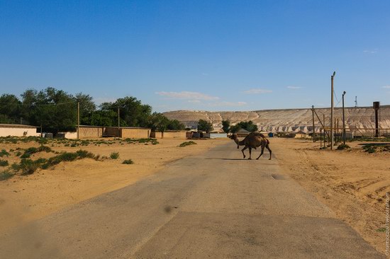 Senek sands, Mangystau region, Kazakhstan, photo 1