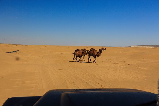 Senek sands, Mangystau region, Kazakhstan, photo 2