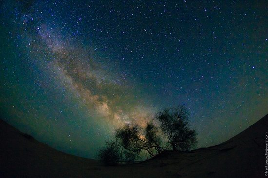 Senek sands, Mangystau region, Kazakhstan, photo 20