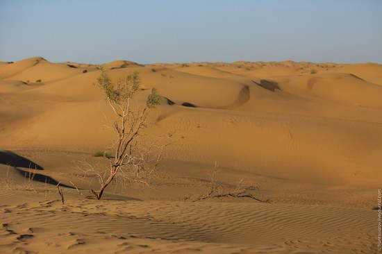 Senek sands, Mangystau region, Kazakhstan, photo 8