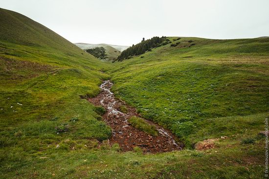 Snowy summer on Assy-Turgen mountain plateau, Kazakhstan, photo 10