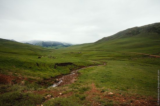 Snowy summer on Assy-Turgen mountain plateau, Kazakhstan, photo 11