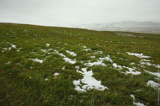 Snowy summer on Assy-Turgen mountain plateau, Kazakhstan, photo 16