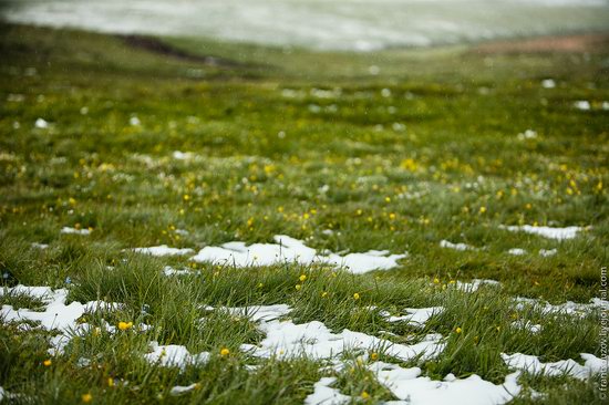 Snowy summer on Assy-Turgen mountain plateau, Kazakhstan, photo 20