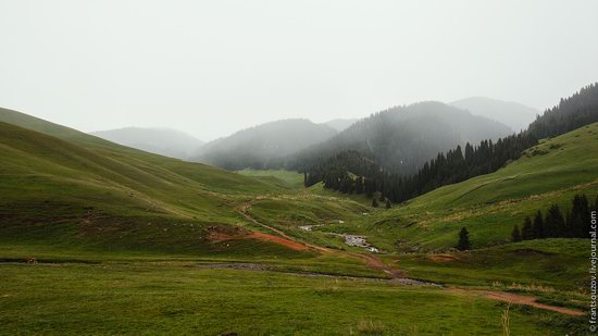 Snowy summer on Assy-Turgen mountain plateau, Kazakhstan, photo 23