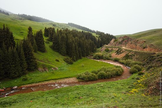 Snowy summer on Assy-Turgen mountain plateau, Kazakhstan, photo 24