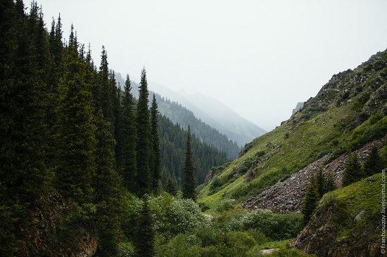 Snowy summer on Assy-Turgen mountain plateau, Kazakhstan, photo 25