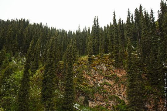 Snowy summer on Assy-Turgen mountain plateau, Kazakhstan, photo 7