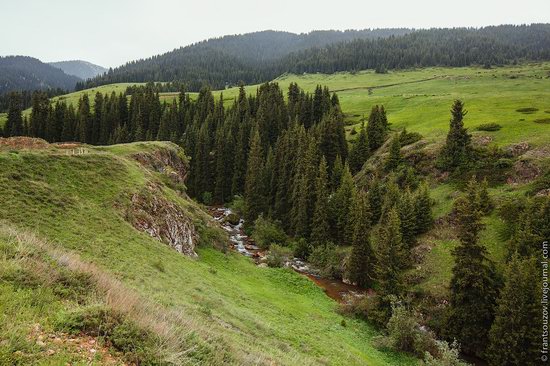 Snowy summer on Assy-Turgen mountain plateau, Kazakhstan, photo 8