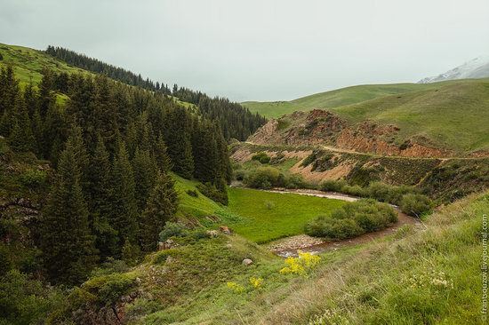 Snowy summer on Assy-Turgen mountain plateau, Kazakhstan, photo 9