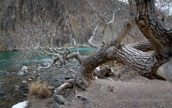 Charyn Canyon in the cold season, Almaty region, Kazakhstan, photo 11