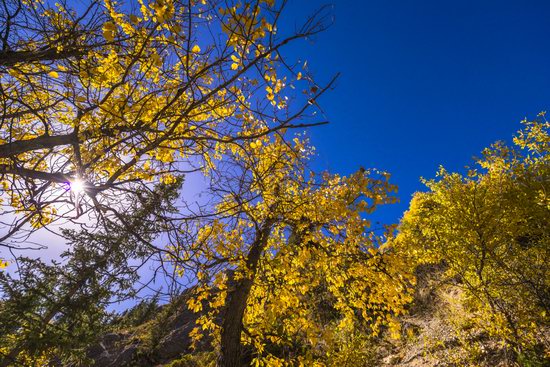 Golden Autumn on Kolsai Lakes, Kazakhstan, photo 10