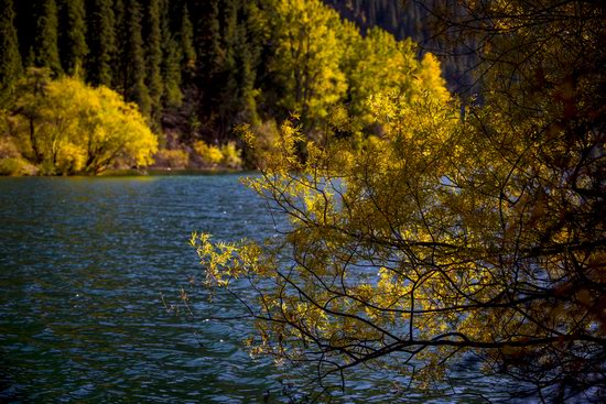 Golden Autumn on Kolsai Lakes, Kazakhstan, photo 13