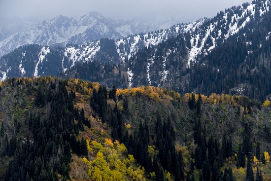 Golden Autumn on Kolsai Lakes, Kazakhstan, photo 14