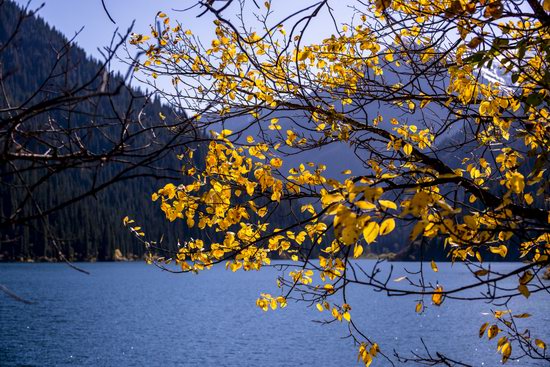 Golden Autumn on Kolsai Lakes, Kazakhstan, photo 5