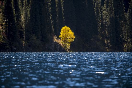 Golden Autumn on Kolsai Lakes, Kazakhstan, photo 8