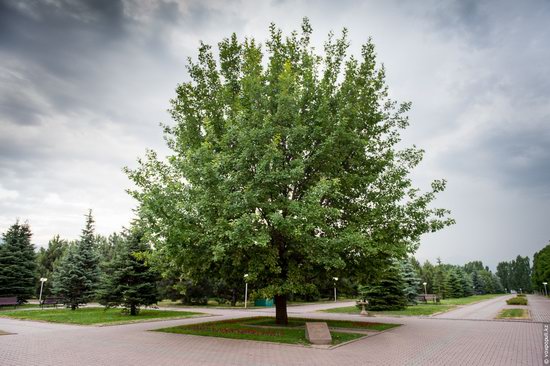 Park of the First President of Kazakhstan, Almaty, photo 14