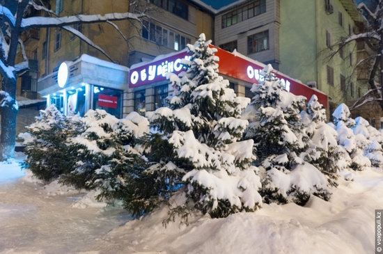 Almaty after heavy snowfall, Kazakhstan, photo 17