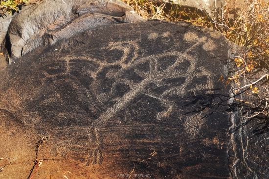 Ancient Petroglyphs of Bayan-Zhurek, Almaty region, Kazakhstan, photo 9