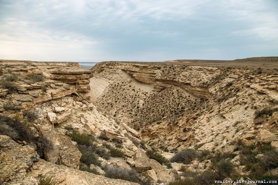 Amazing Landscapes of the Ustyurt Plateau, Mangystau region, Kazakhstan, photo 10