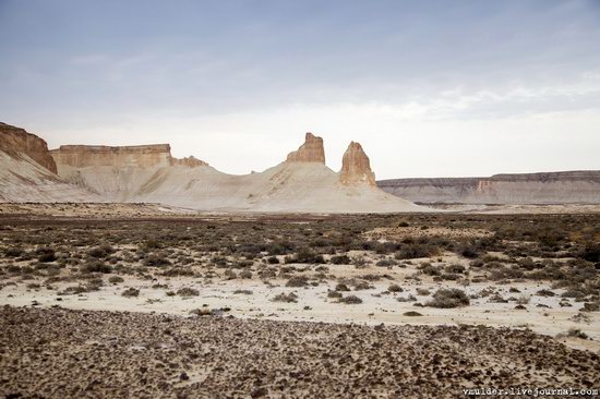 Amazing Landscapes of the Ustyurt Plateau, Mangystau region, Kazakhstan, photo 17