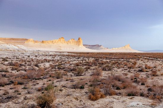 Amazing Landscapes of the Ustyurt Plateau, Mangystau region, Kazakhstan, photo 22