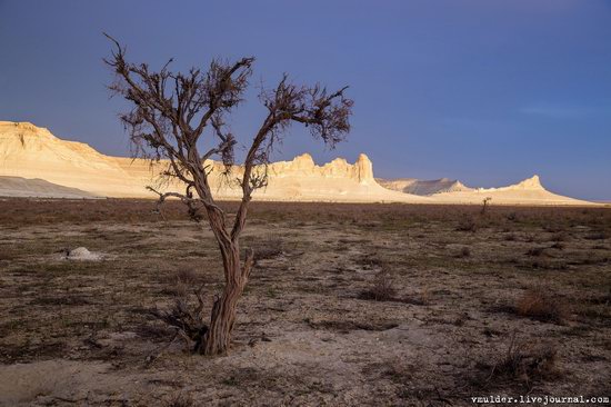 Amazing Landscapes of the Ustyurt Plateau, Mangystau region, Kazakhstan, photo 23