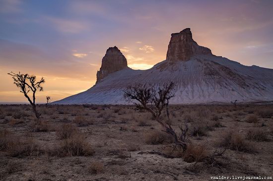 Amazing Landscapes of the Ustyurt Plateau, Mangystau region, Kazakhstan, photo 26