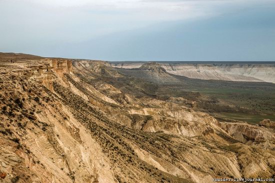 Amazing Landscapes of the Ustyurt Plateau, Mangystau region, Kazakhstan, photo 6