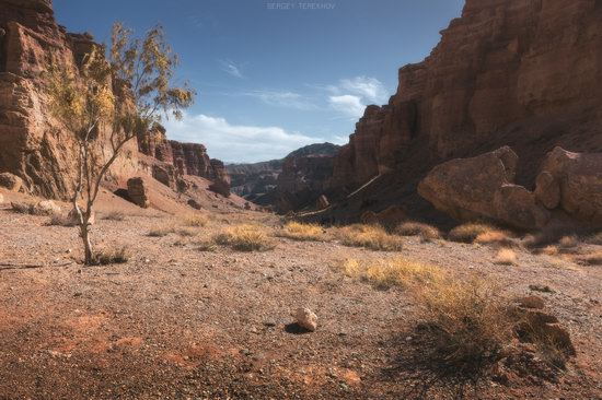 Valley of Castles in Charyn Canyon, Kazakhstan, photo 4