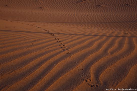 Senek Sands desert in the Mangystau region, Kazakhstan, photo 18