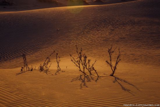 Senek Sands desert in the Mangystau region, Kazakhstan, photo 20