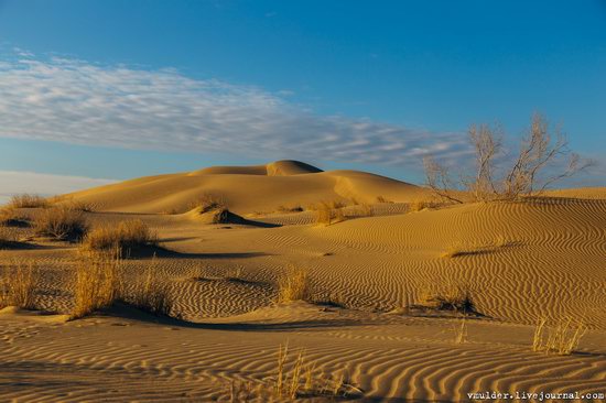 Senek Sands desert in the Mangystau region, Kazakhstan, photo 6