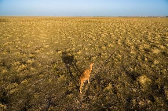 Amazing Landscapes of Southern Kazakhstan, photo 15