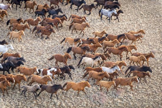 Saryarka - Steppe and Lakes of Kazakhstan, photo 1