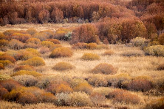Late Autumn in the Southeast of Kazakhstan, photo 5