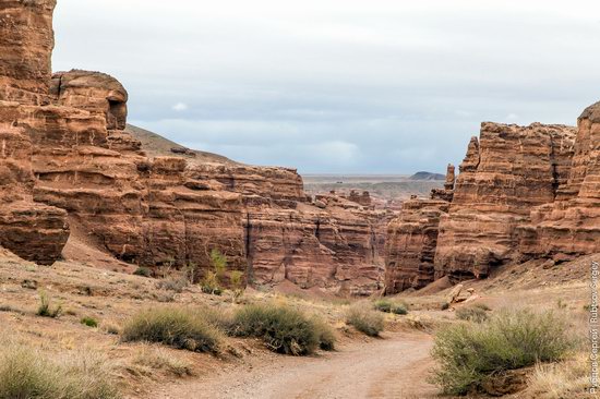 Charyn - the Grand Canyon of Kazakhstan, photo 10