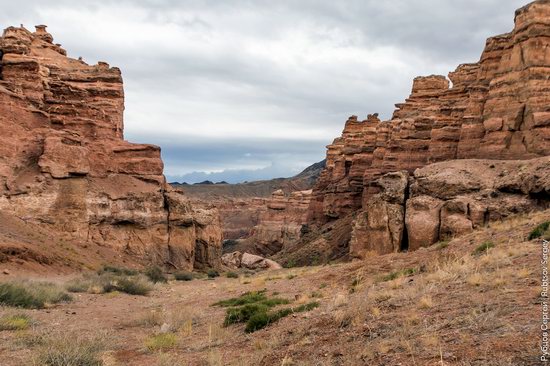 Charyn - the Grand Canyon of Kazakhstan, photo 11