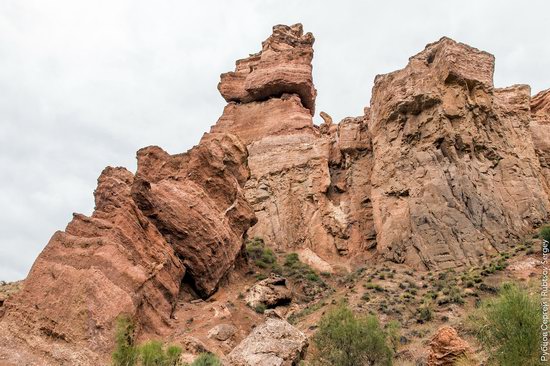 Charyn - the Grand Canyon of Kazakhstan, photo 18