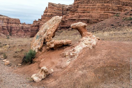 Charyn - the Grand Canyon of Kazakhstan, photo 23