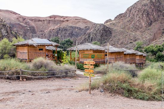 Charyn - the Grand Canyon of Kazakhstan, photo 26