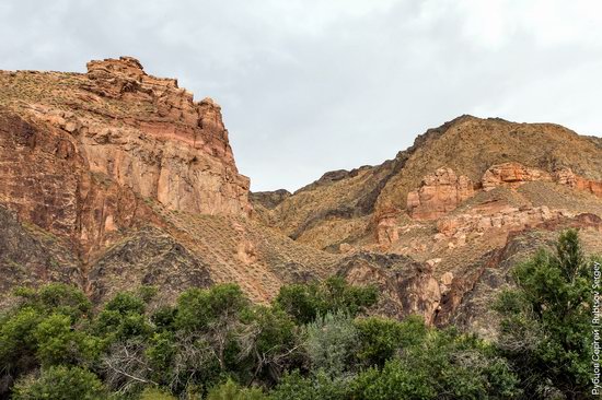 Charyn - the Grand Canyon of Kazakhstan, photo 27