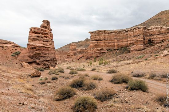 Charyn - the Grand Canyon of Kazakhstan, photo 4