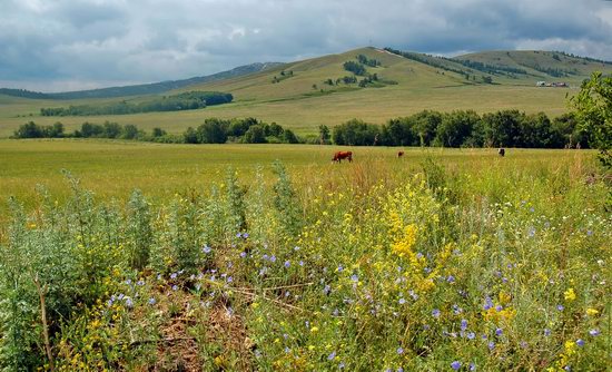 Picturesque Landscapes of the Karkaraly Mountains, Kazakhstan, photo 2