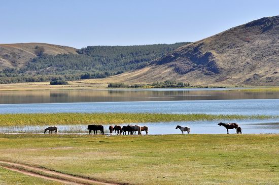 Picturesque Landscapes of the Karkaraly Mountains, Kazakhstan, photo 20