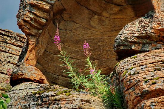 Picturesque Landscapes of the Karkaraly Mountains, Kazakhstan, photo 5