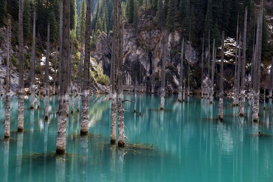 Sunken Forest of Lake Kaindy, Kazakhstan, photo 4