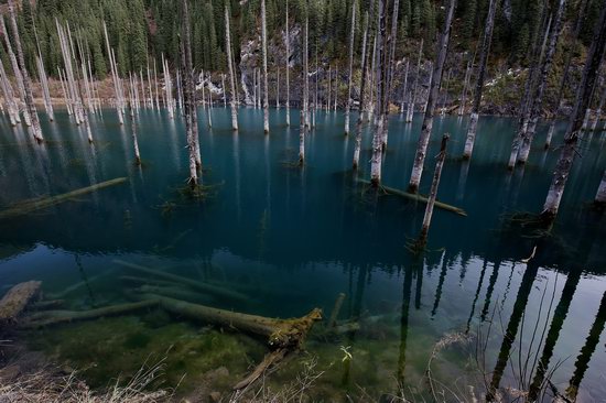 Sunken Forest of Lake Kaindy, Kazakhstan, photo 5