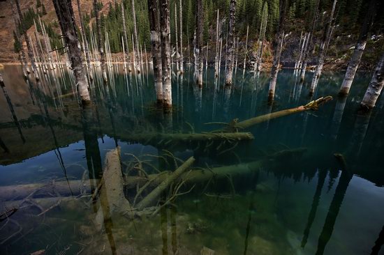 Sunken Forest of Lake Kaindy, Kazakhstan, photo 6